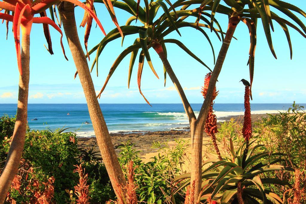 Beach House Jeffreys Bay Bagian luar foto